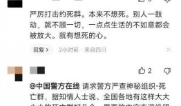 天鹅林场最新爆料信息,揭秘背后惊人真相